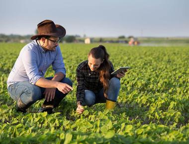 Eco cambios: Alianza Estratégica por un impacto ambiental positivo